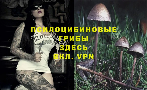 стафф Горнозаводск