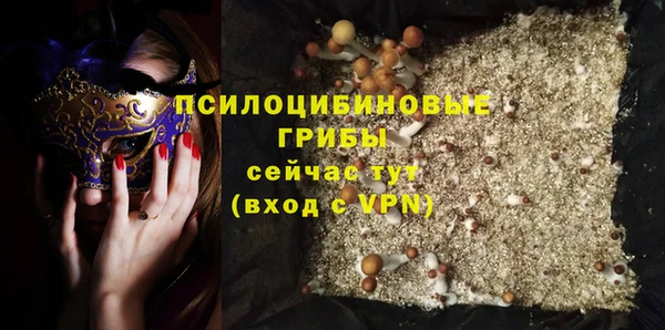 стафф Горнозаводск