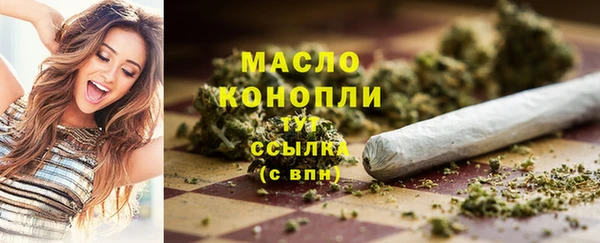 Альфа ПВП Горняк