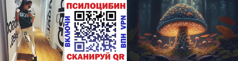 Купить  Людиново  Галлюциногенные грибы мухоморы 